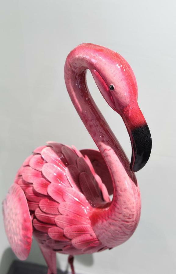 La Jungle Du Swan Apartment Manchester Luaran gambar